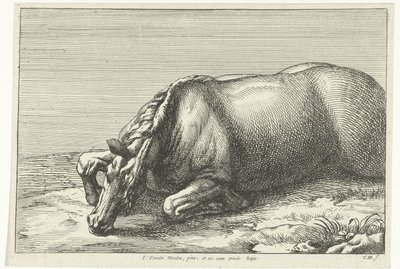 Killed Horse Seen from Left Side by Jan van Huchtenburgh